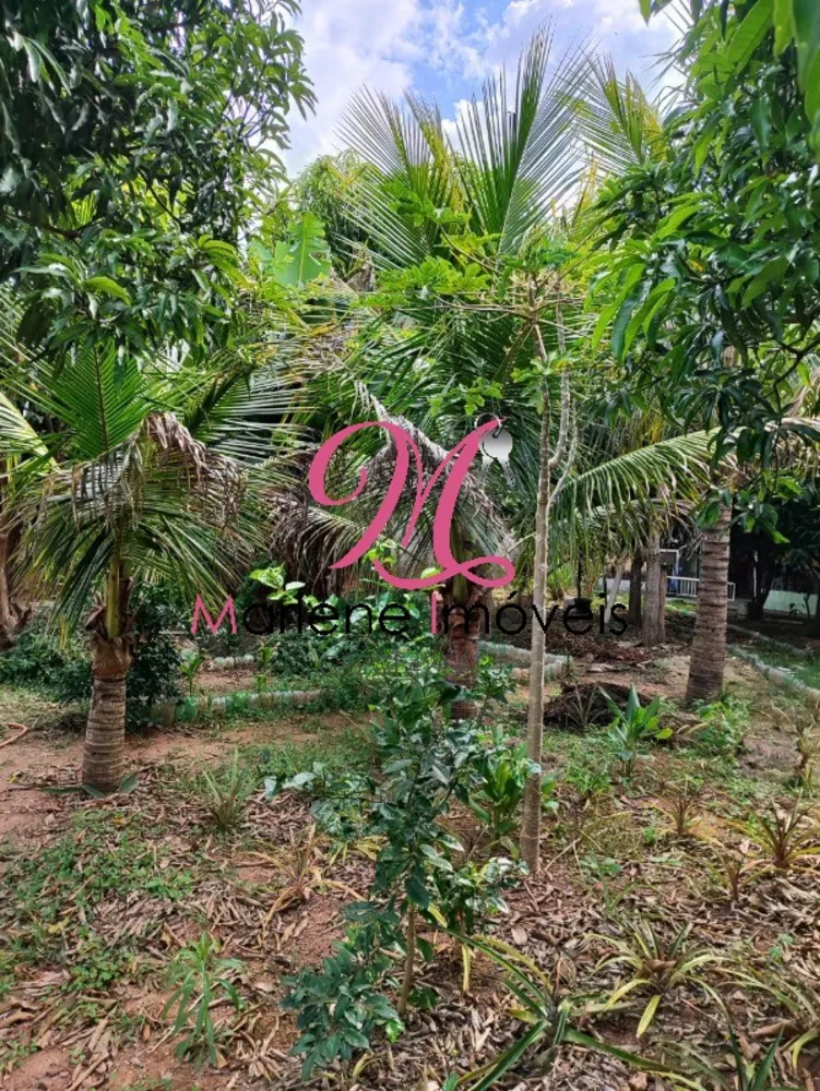 Chácara, 1 quarto - Foto 10