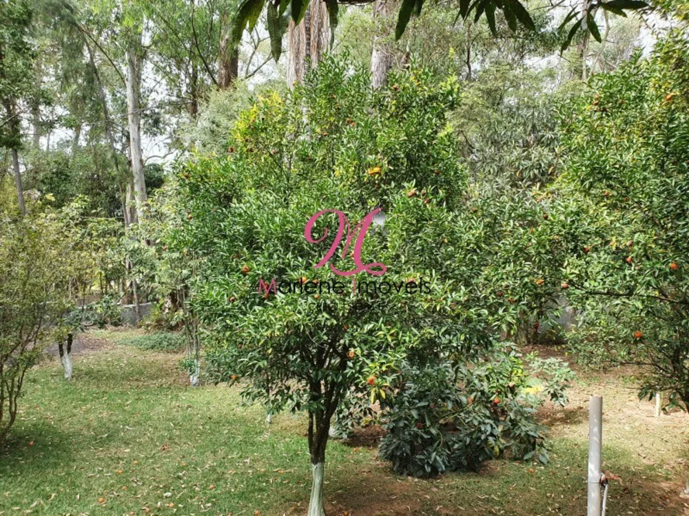 Chácara, 3 quartos - Foto 4