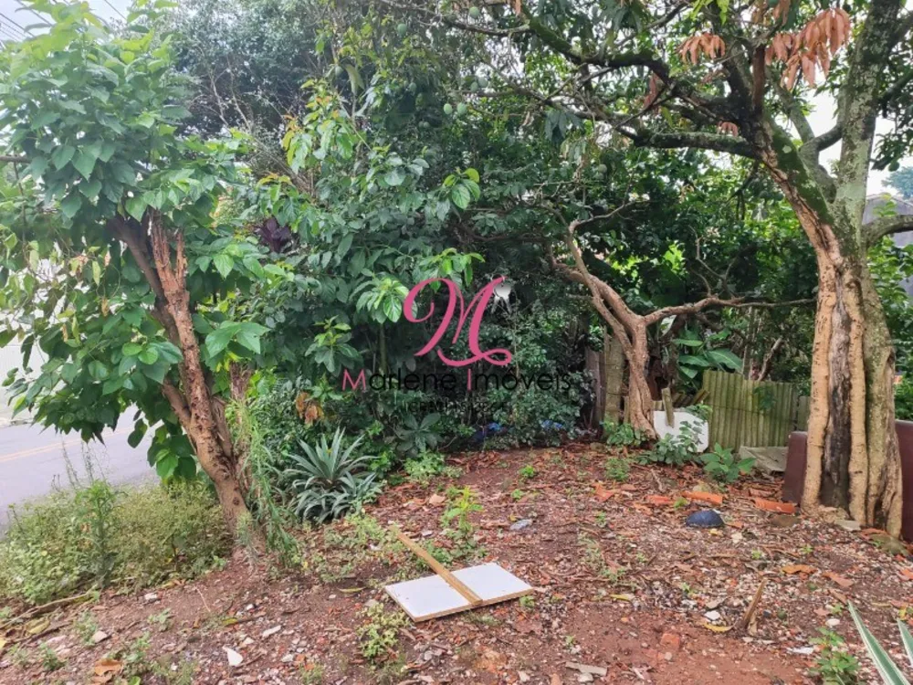 Terreno, 300 m² - Foto 3