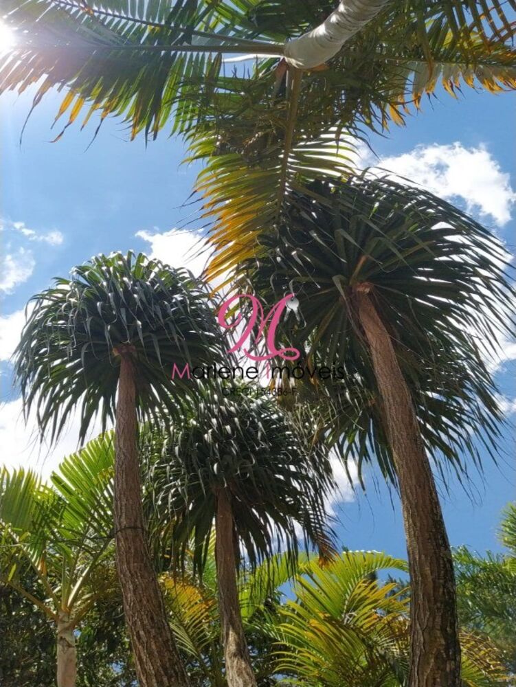 Sítio, 4 quartos - Foto 19