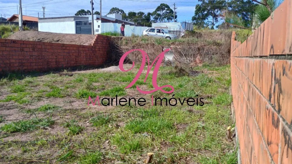 Terreno - Foto 5