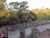 Terreno, 1334 m² - Foto 3