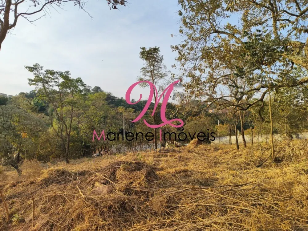 Terreno - Foto 6