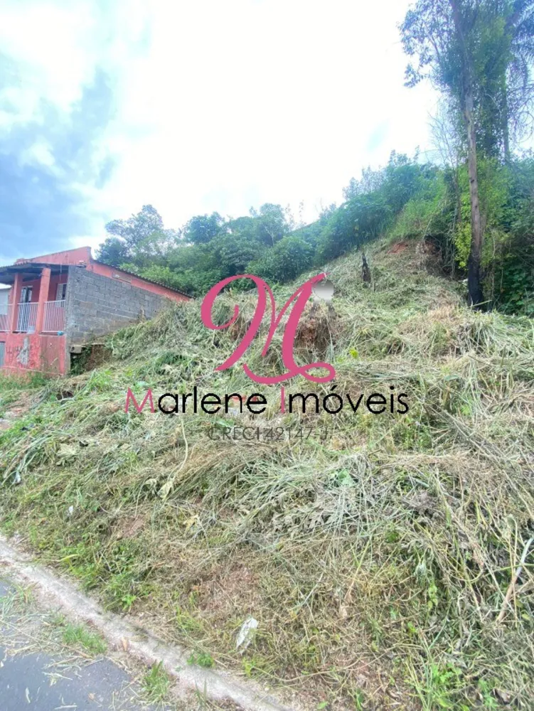 Terreno, 250 m² - Foto 2