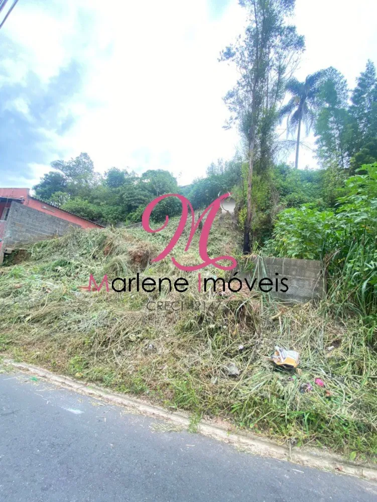Terreno, 250 m² - Foto 1
