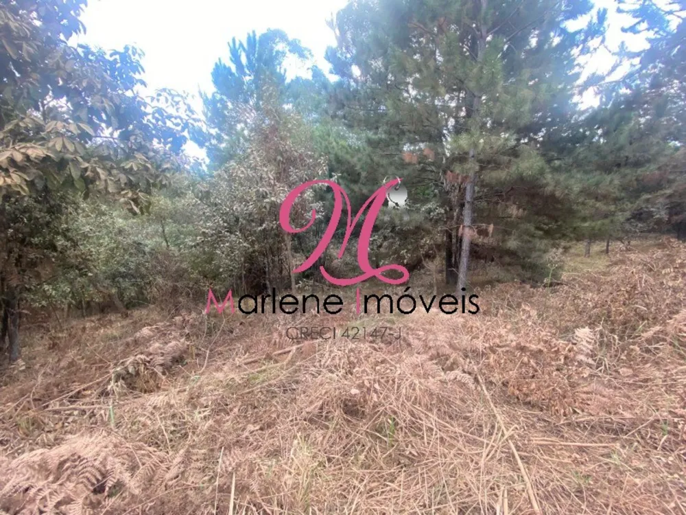 Terreno, 6540 m² - Foto 3