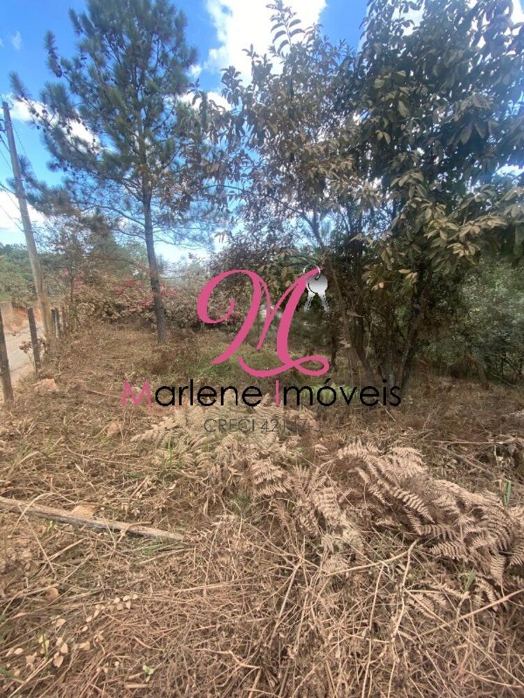 Terreno, 6540 m² - Foto 2
