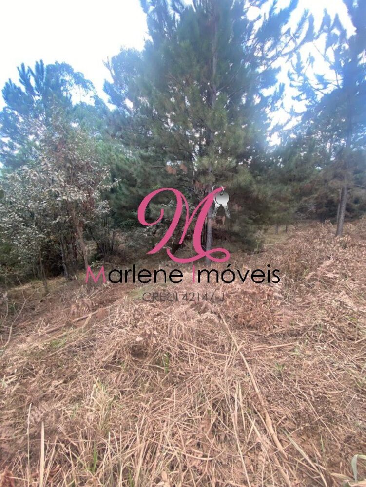 Terreno, 6540 m² - Foto 1
