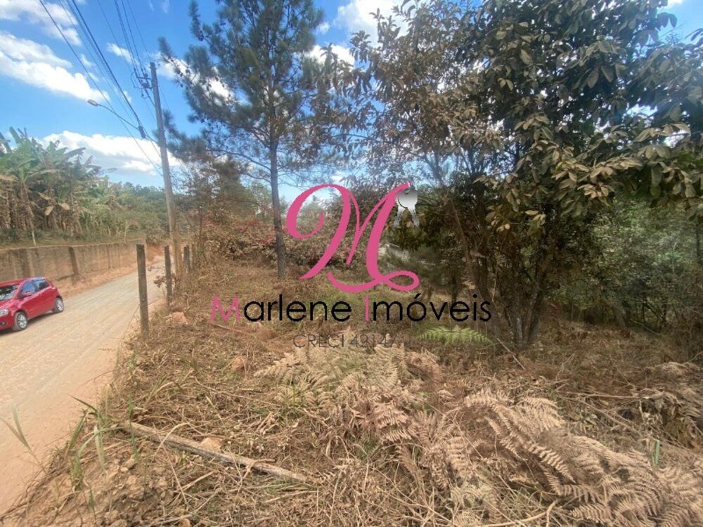 Terreno, 6540 m² - Foto 4