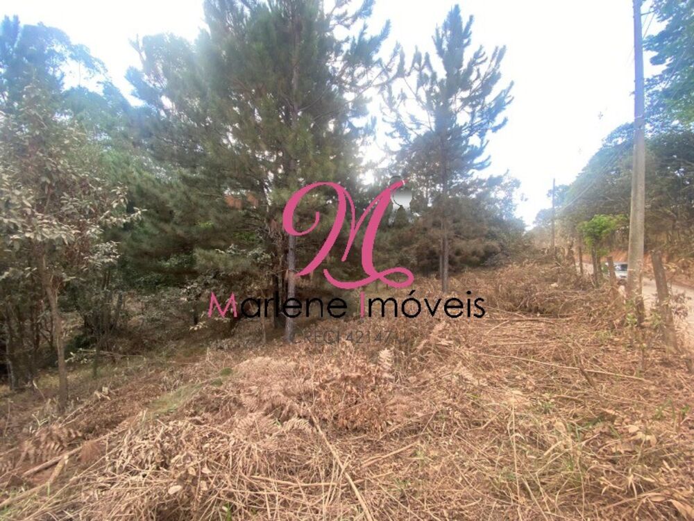 Terreno, 6540 m² - Foto 3