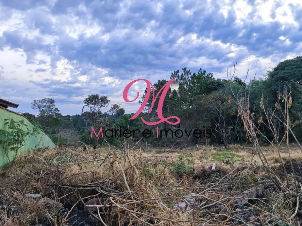 Terreno - Foto 4