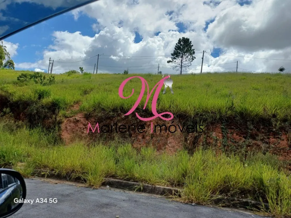 Terreno - Foto 3