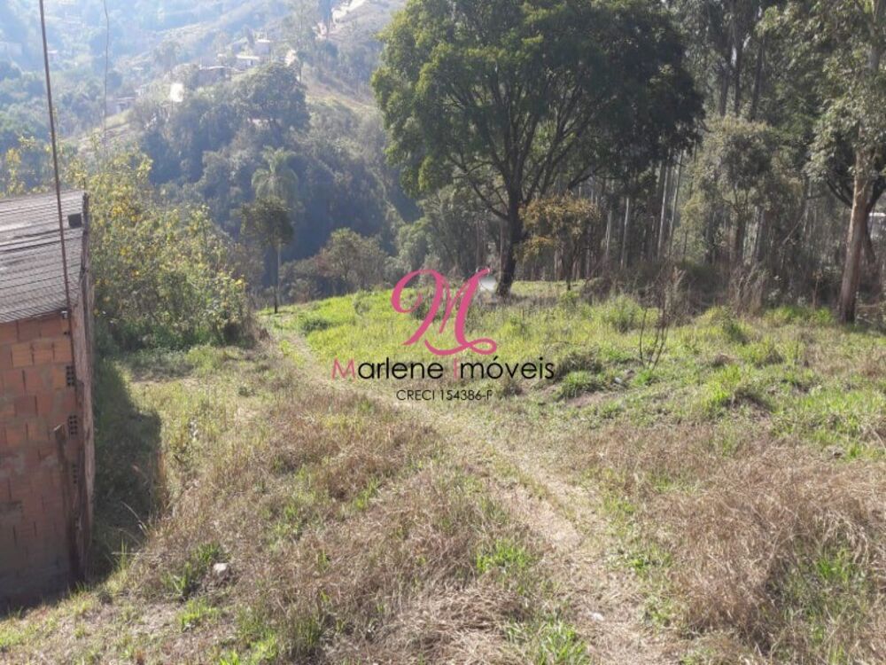 Terreno, 6000 m² - Foto 13