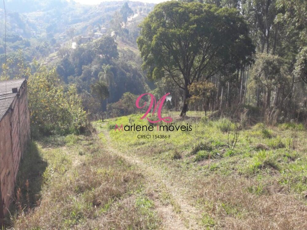 Terreno, 6000 m² - Foto 5