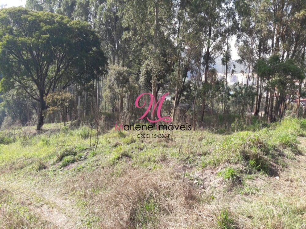 Terreno, 6000 m² - Foto 7