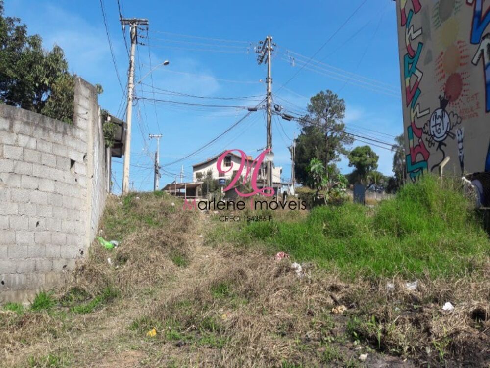 Terreno, 6000 m² - Foto 9