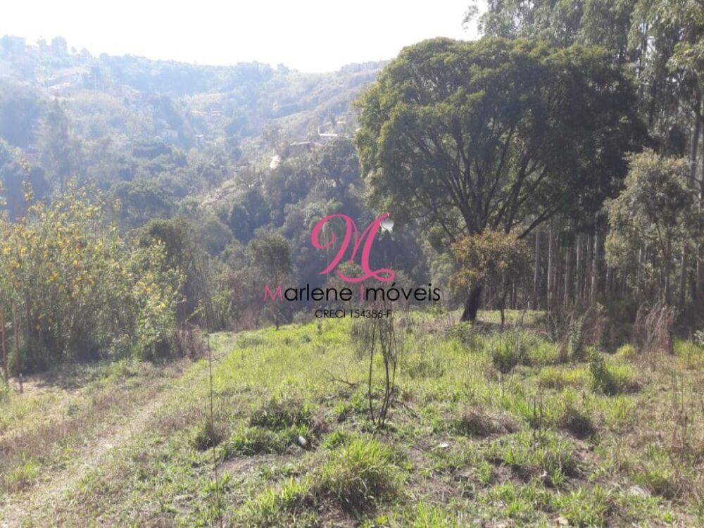 Terreno, 6000 m² - Foto 12