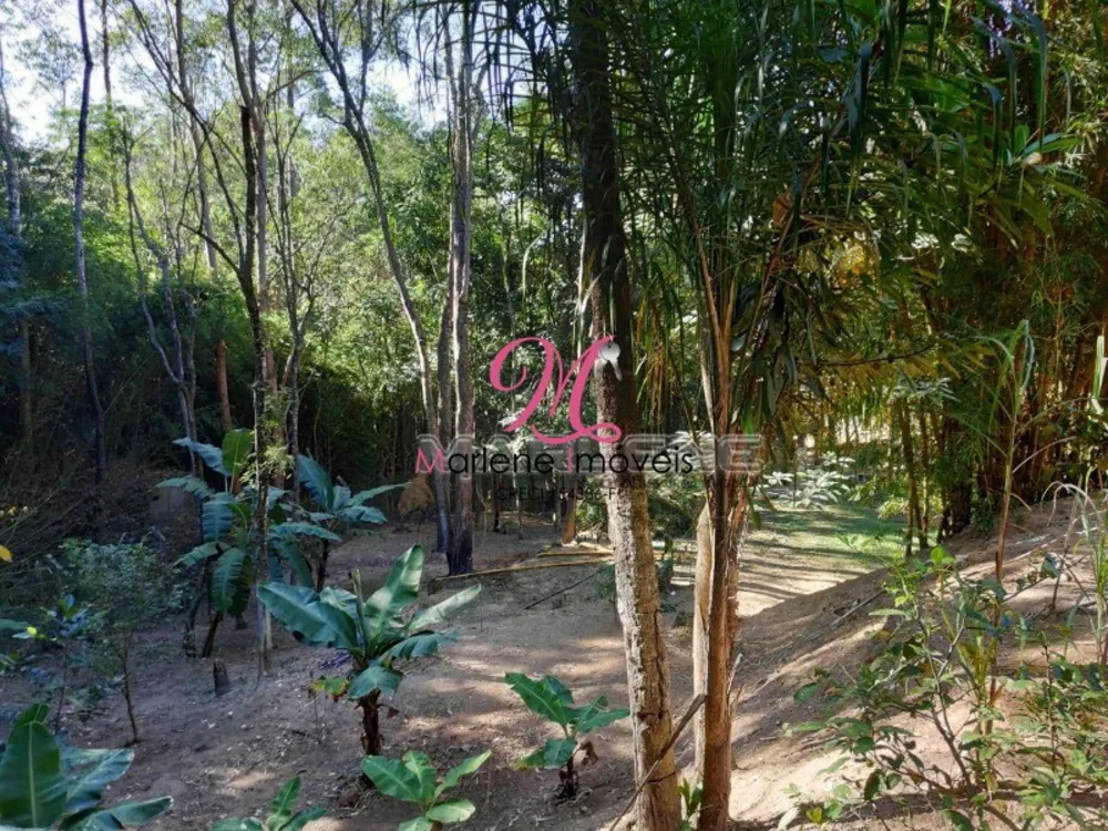 Chácara, 3 quartos - Foto 11