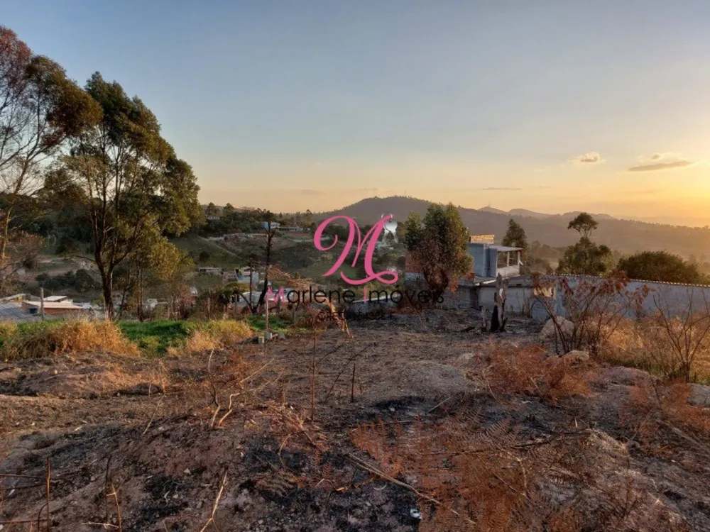 Terreno, 250 m² - Foto 5