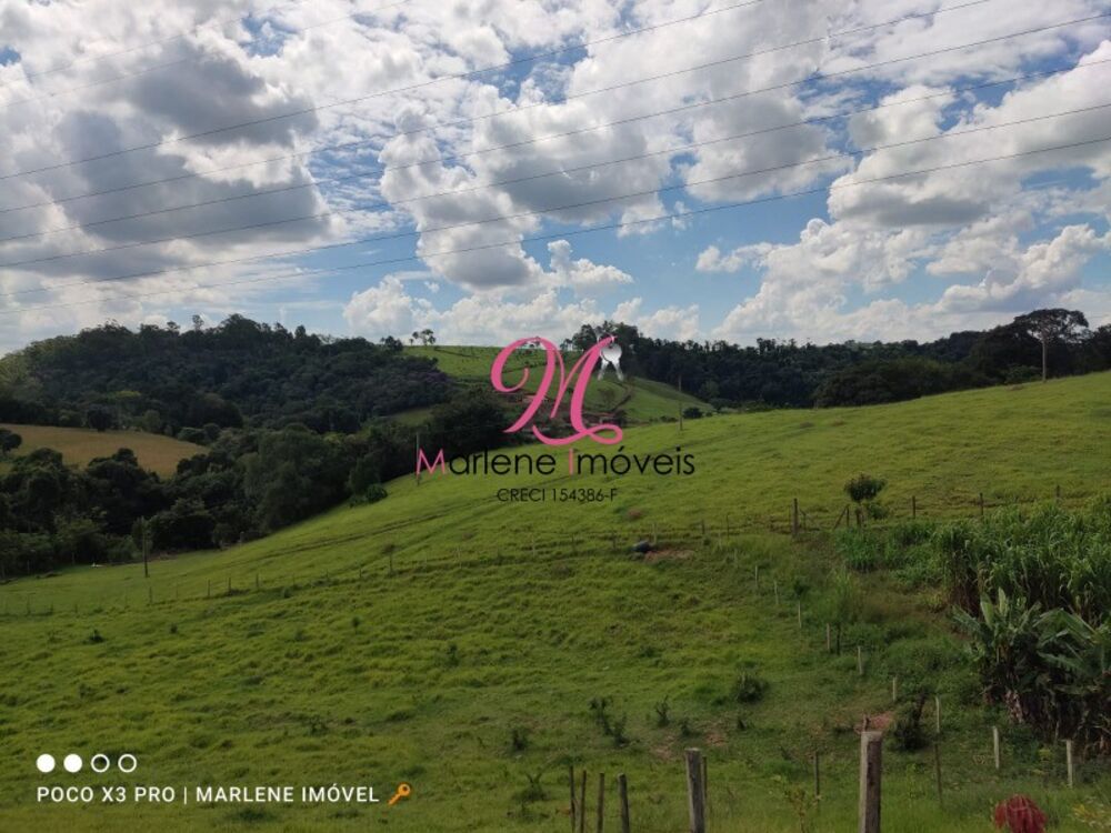 Sítio à venda e aluguel - Foto 18
