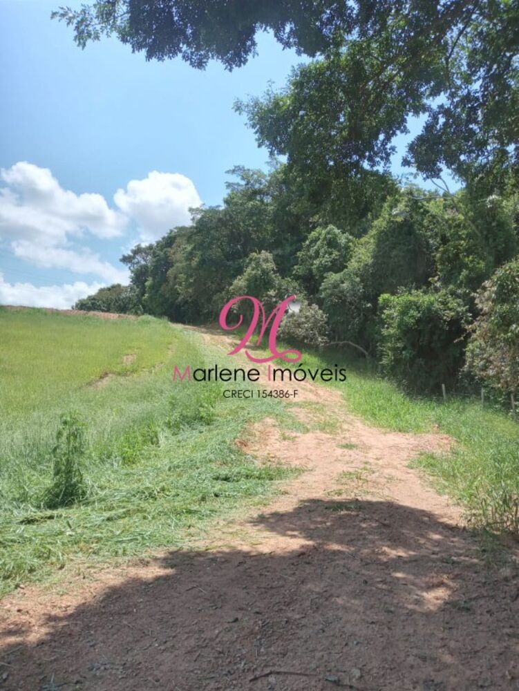 Sítio à venda e aluguel - Foto 6