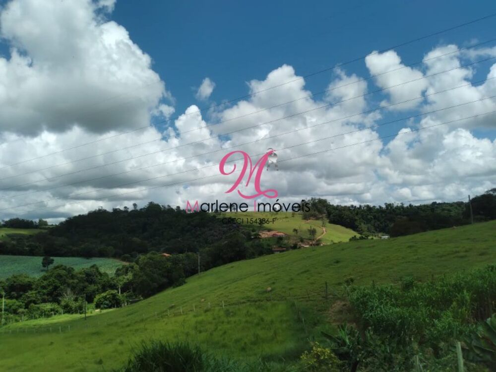 Sítio à venda e aluguel - Foto 11