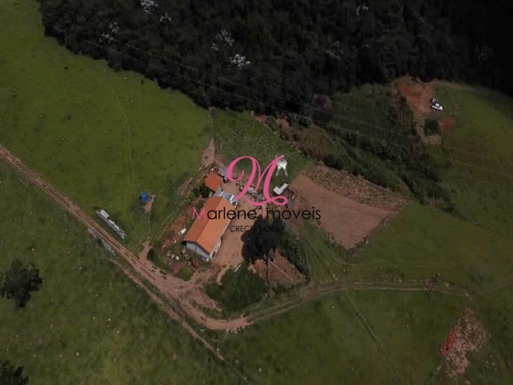 Sítio à venda e aluguel - Foto 4