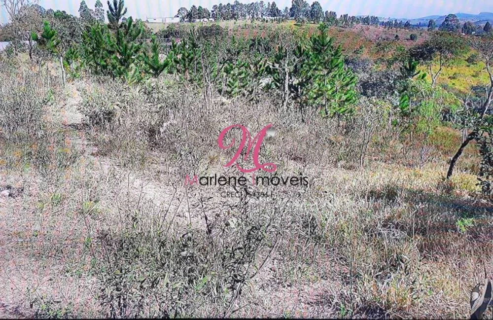 Terreno, 1 hectares - Foto 8