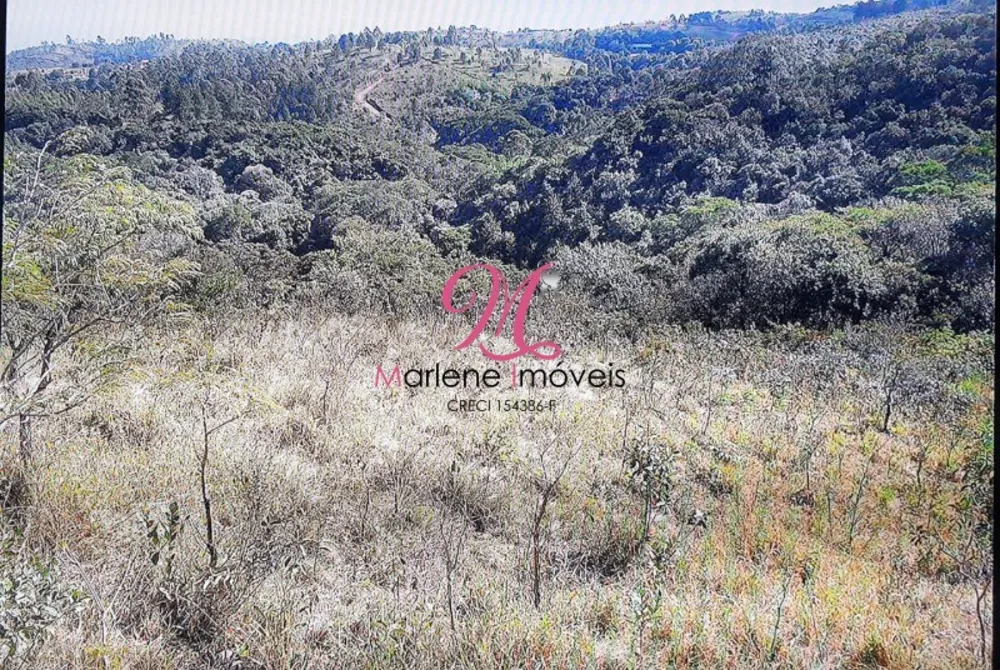 Terreno, 1 hectares - Foto 7