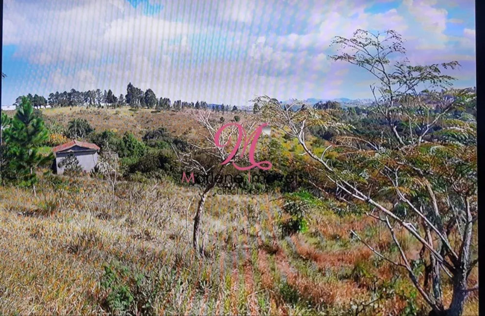 Terreno, 1 hectares - Foto 6