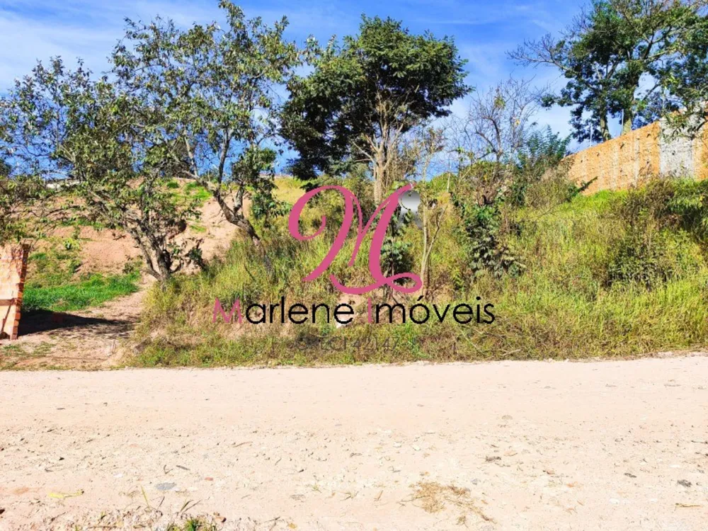 Terreno - Foto 4
