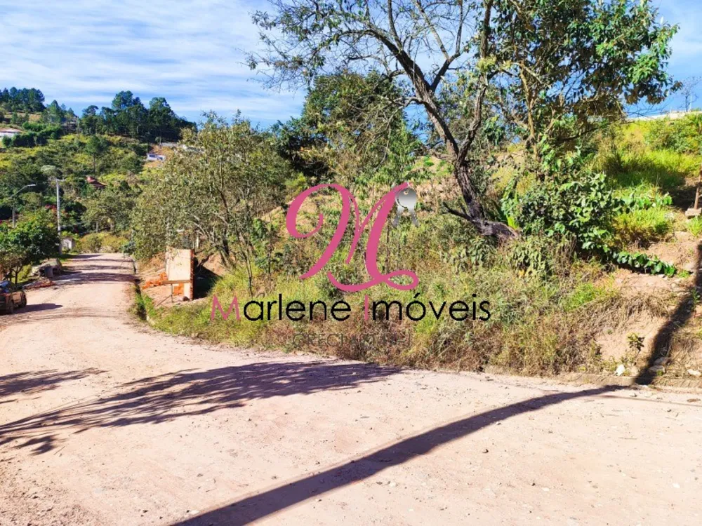 Terreno - Foto 5