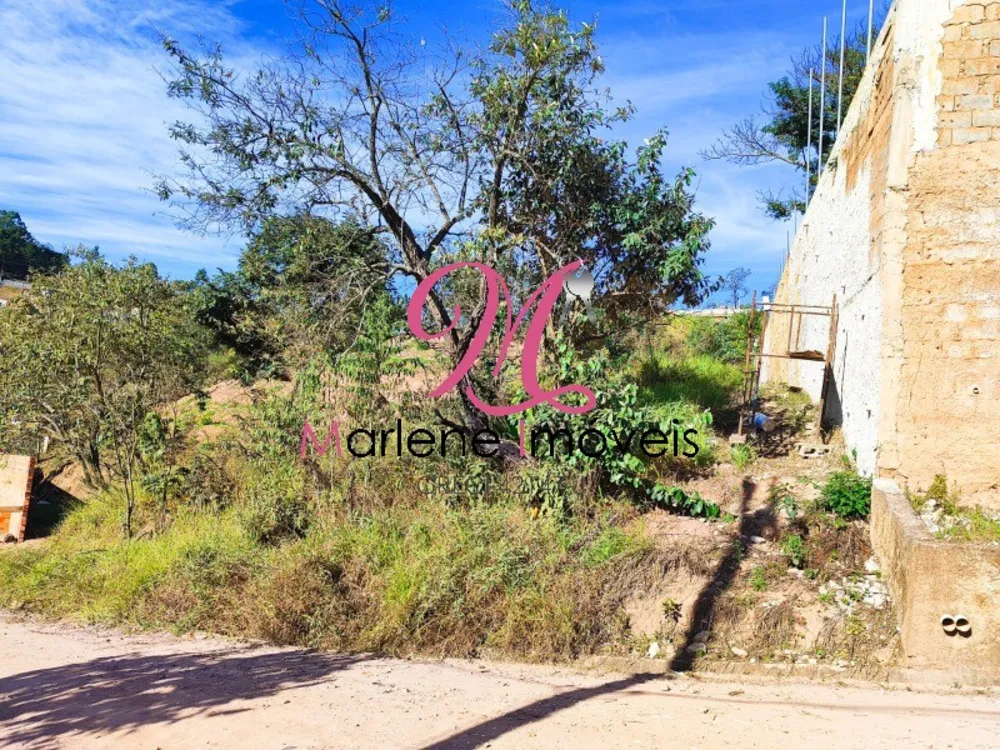 Terreno - Foto 6
