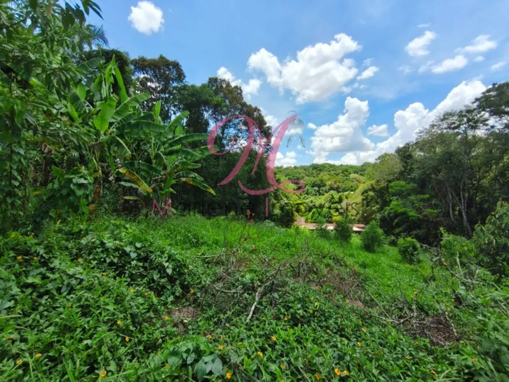Terreno - Foto 6