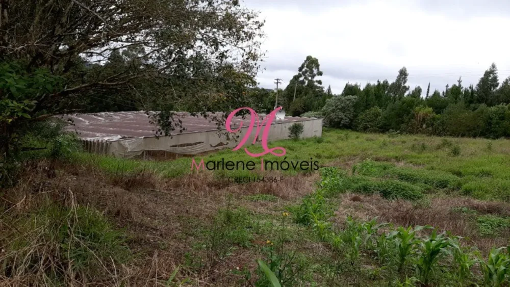 Sítio, 5 quartos, 3 hectares - Foto 12