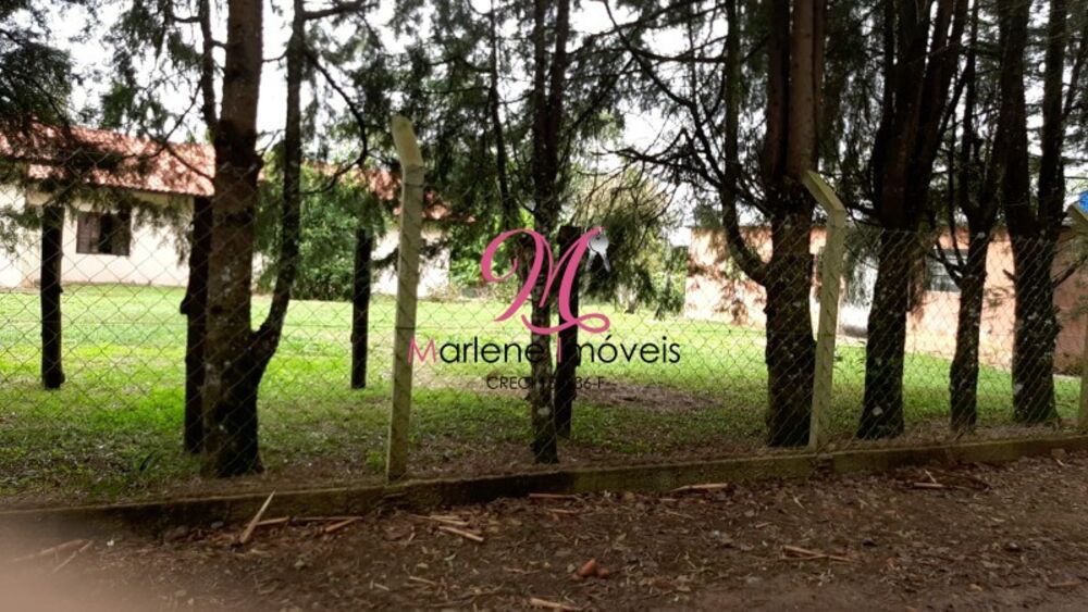 Sítio, 5 quartos, 3 hectares - Foto 2