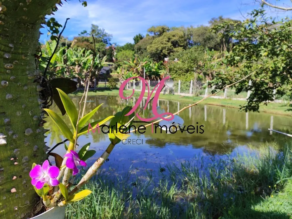 Chácara, 4 quartos - Foto 2