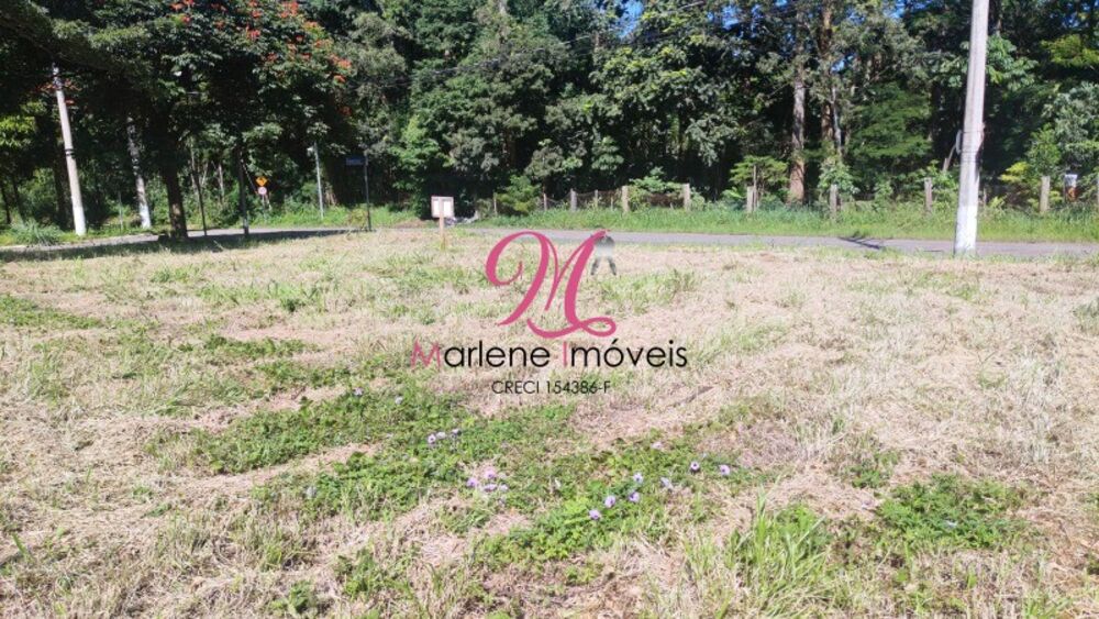 Terreno, 412 m² - Foto 7