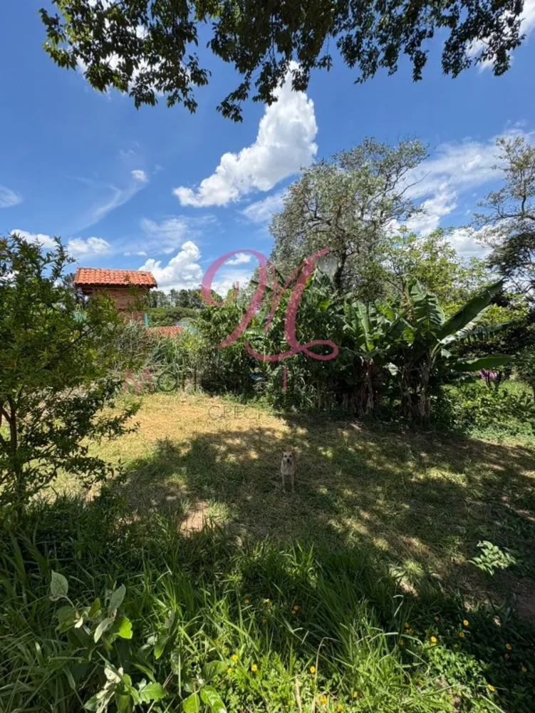 Terreno - Foto 3