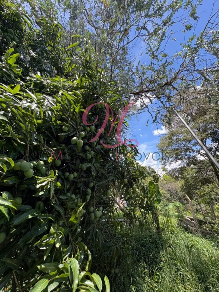 Terreno - Foto 6