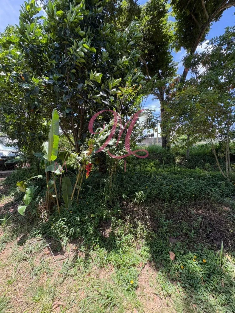 Terreno - Foto 4