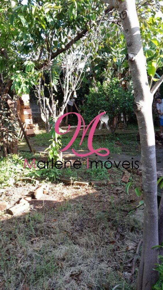 Terreno, 244 m² - Foto 4