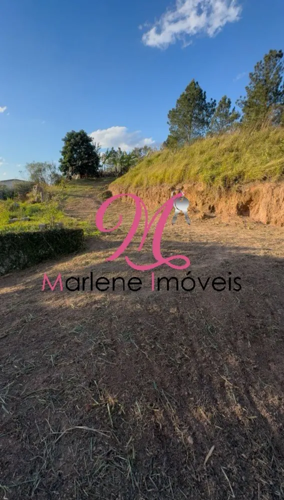 Terreno - Foto 5