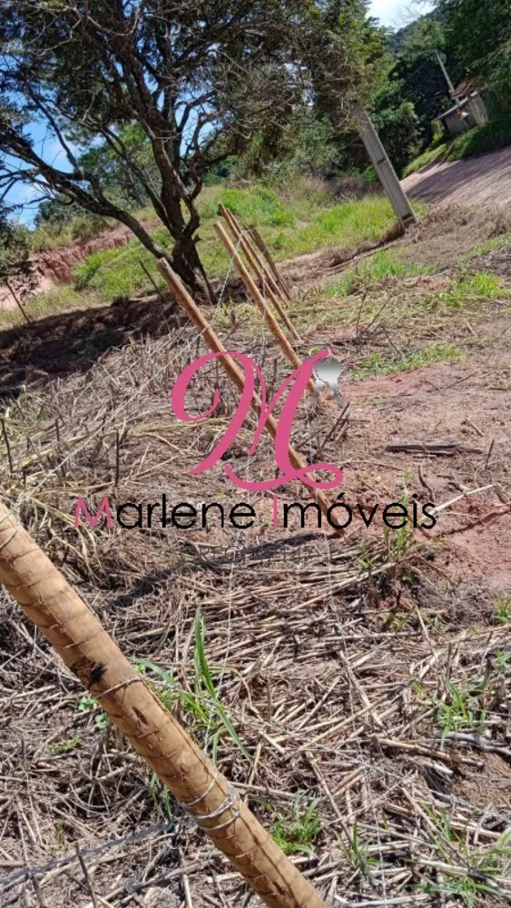 Terreno, 1000 m² - Foto 1