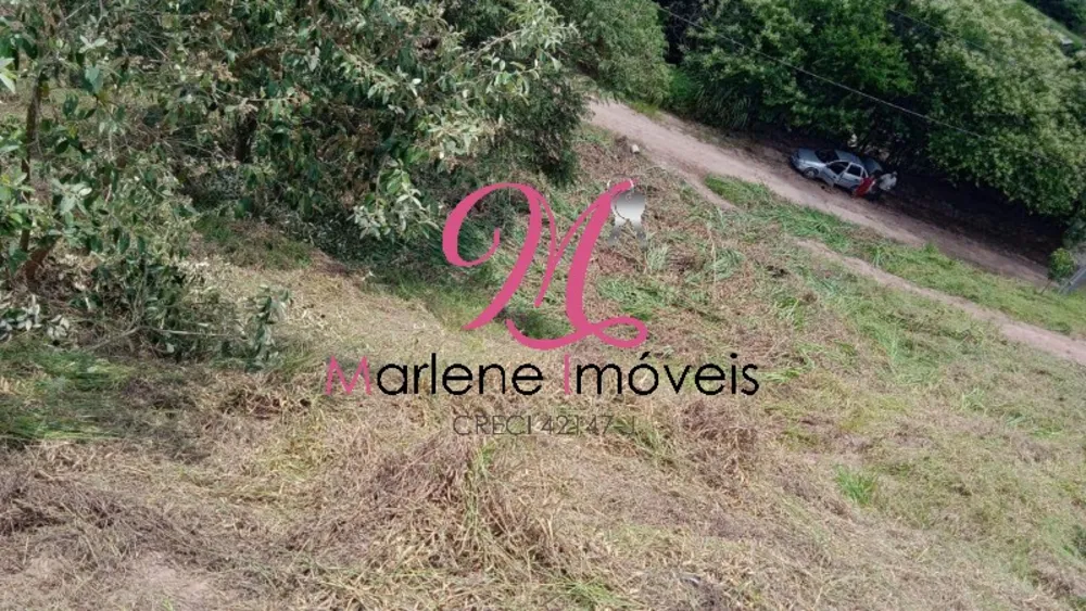 Terreno, 1000 m² - Foto 3