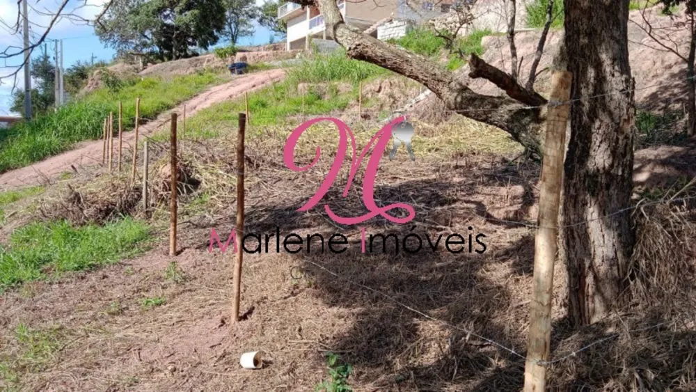 Terreno, 1000 m² - Foto 4