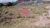 Terreno, 1000 m² - Foto 3