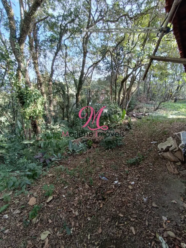 Chácara, 5 quartos - Foto 12