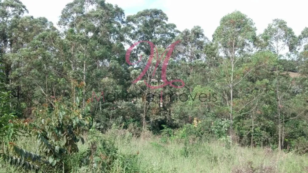 Terreno - Foto 11