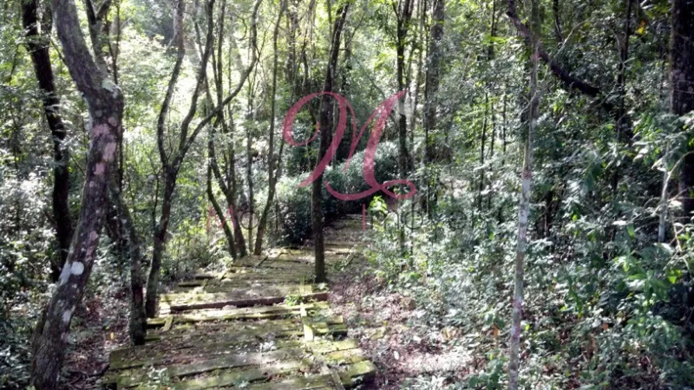 Terreno - Foto 7